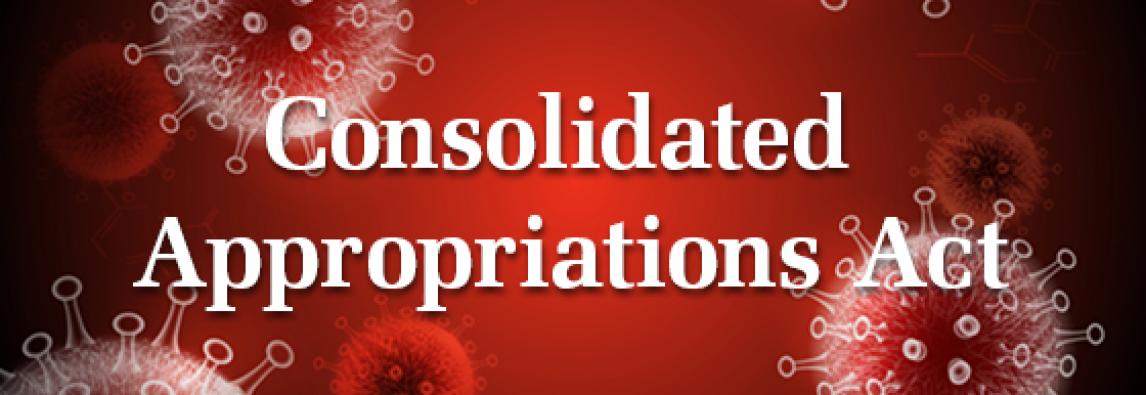 How can your business benefit from the Consolidated Appropriations Act?