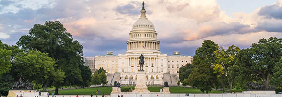 Reading the tea leaves: Potential tax legislation in the new Congress